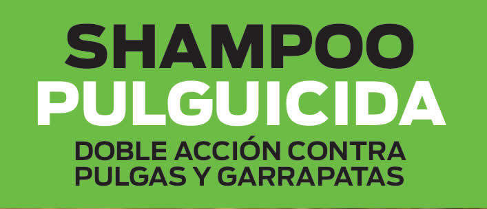Producto 1